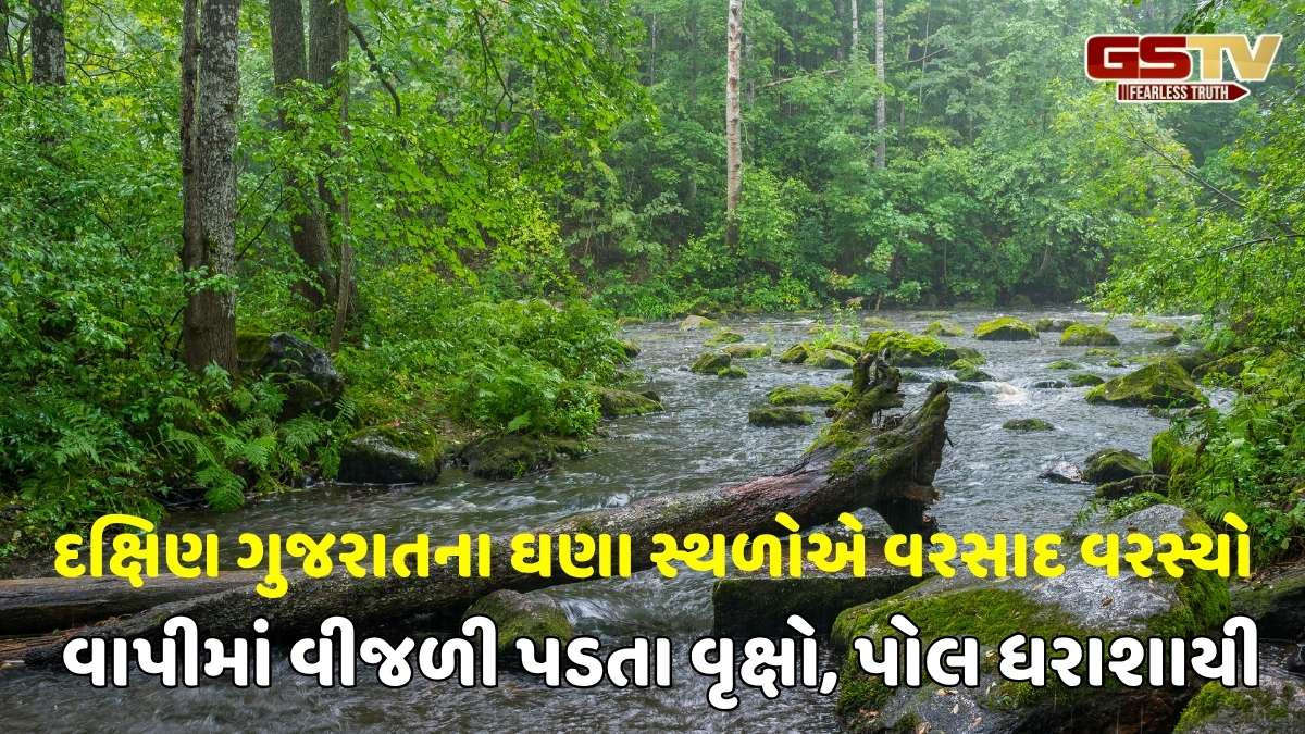 Valsad news: દક્ષિણ ગુજરાતમાં ભારે વરસાદ, વાપીમાં વીજળી ત્રાટકતા 2 લોકોનાં મોત