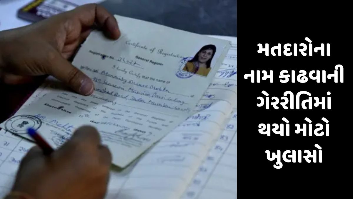 સાયબર સેન્ટરોનો દુરુપયોગ: મતદારોના નામ ગાયબ કરવાના કૌભાંડમાં SITના હાથે ચઢ્યો મોટો પુરાવો