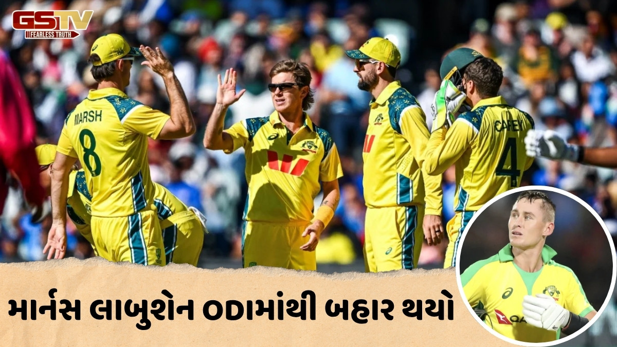 IND vs AUS / ઓસ્ટ્રેલિયાએ ODI અને T20 ટીમમાં અચાનક કર્યા મોટા ફેરફારો, ગ્લેન મેકસવેલની થઈ વાપસી