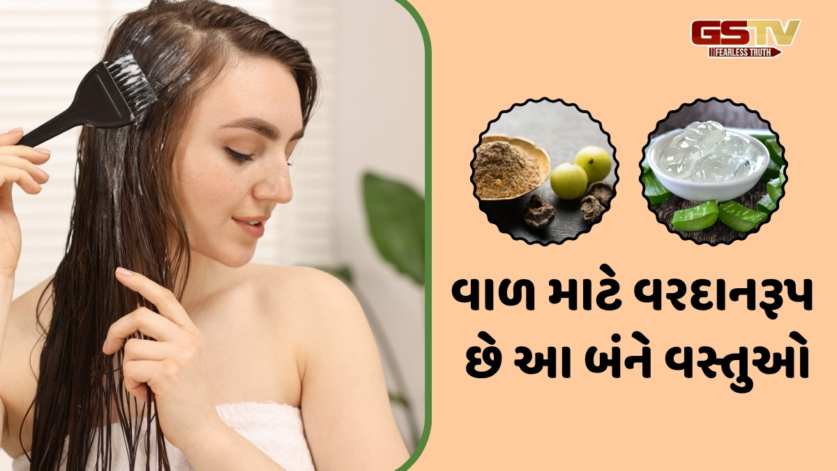 Hair Care Tips / ડેન્ડ્રફ તેમજ હેર ફોલથી છુટકારો અપાવશે આમળા અને એલોવેરા, આ 4 રીતે કરો ઉપયોગ