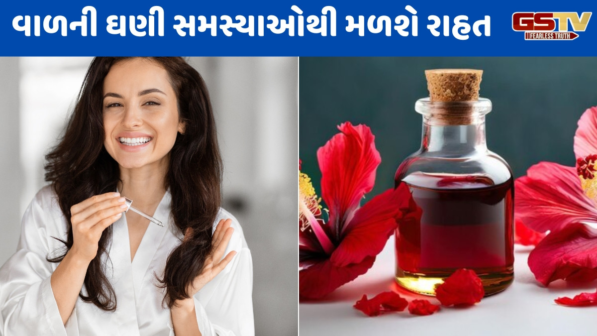 Hair Care / વાળ માટે વરદાન છે હિબિસ્કસનું તેલ, જાણો તેને ઘરે બનાવવાની રીત અને લગાવવાના ફાયદા