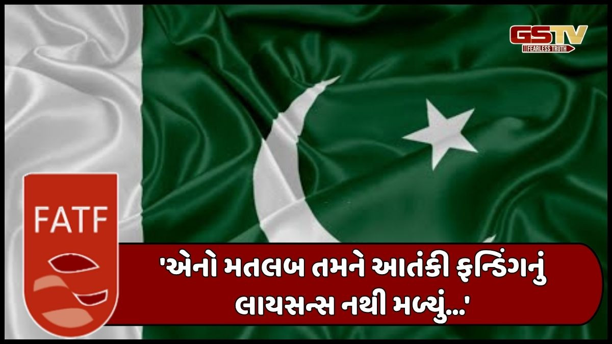 જૈશ-એ-મોહમ્મદ સંગઠને ભંડોળ એકઠું કરવા ઈ-વોલેટનો ઉપયોગ કર્યો શરૂ, પાકિસ્તાન સામે ભડક્યું FATF