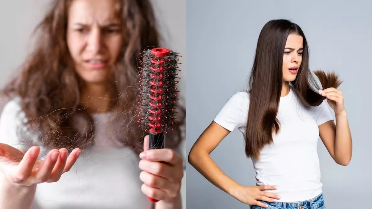 Hair Care : વાળ ખરતા અટકાવશે આ દેશી ઉપાય, ટૂંક સમયમાં દેખાશે અસર