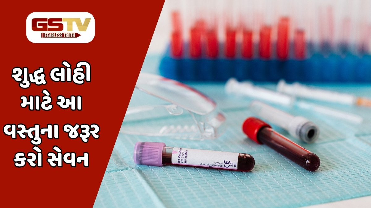 Health Tips: અશુદ્ધ લોહી શરીરને કરશે બીમારીઓનું ઘર, શુદ્ઘ બ્લડ માટે આ વસ્તુનું કરો સેવન