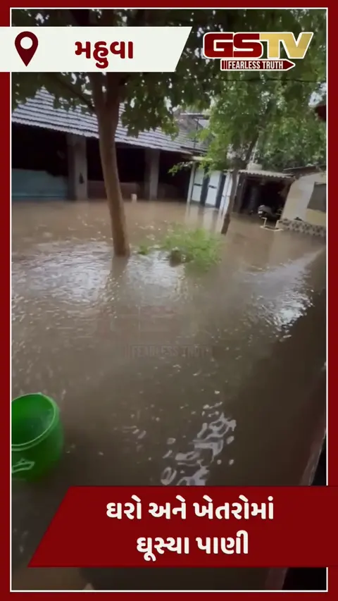 Video: મહુવામાં ધોધમાર વરસાદથી જળબંબાકાર, માલણ નદી બે કાંઠે, ગ્રામ્ય વિસ્તારોમાં ઘરો અને ખેતરોમાં ઘૂસ્યા પાણી