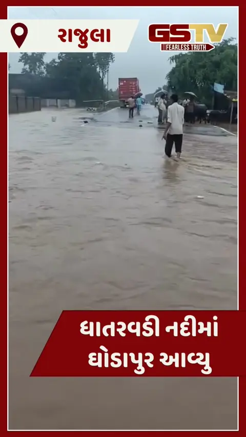 VIDEO: રાજુલાના ગ્રામ્ય પંથકમાં ધોધમાર વરસાદ, ધાતરવડી નદીમાં ઘોડાપુર