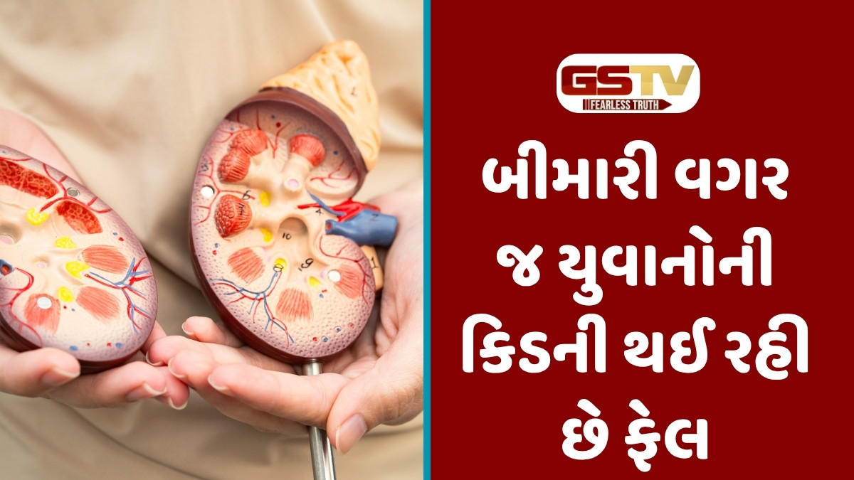 Health Tips : બીમારી વગર જ યુવાનોની કિડની થઈ રહી છે ફેલ, નિદાન માટે આ ત્રણ ટેસ્ટ જરૂર કરાવો