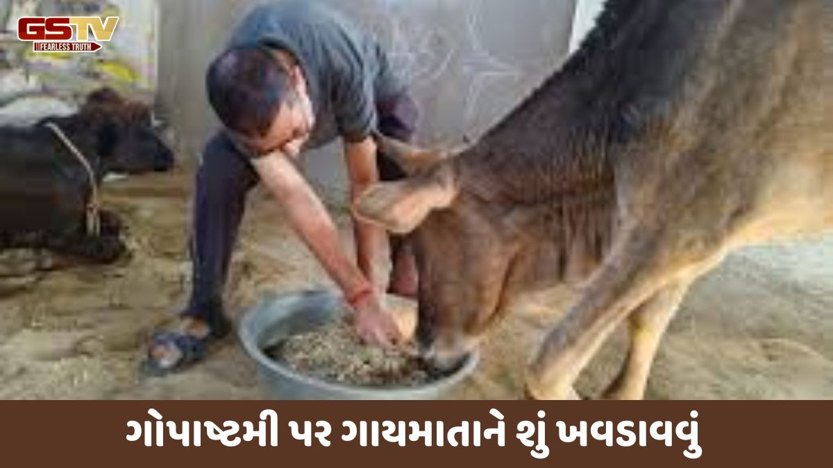 Religion : ગોપાષ્ટમી પર ગાય માતાને આ વસ્તુઓ ખવડાવવાથી તમારી મુશ્કેલીઓ દૂર થશે