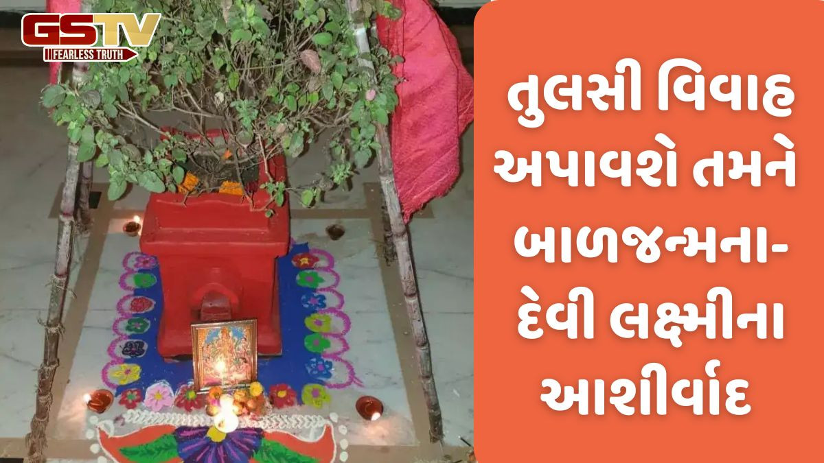 તુલસી વિવાહ: આ વિવાહ કરવાના છે વિવિધ ફાયદા છે, જાણો તેનાથી તમને શું લાભ થશે