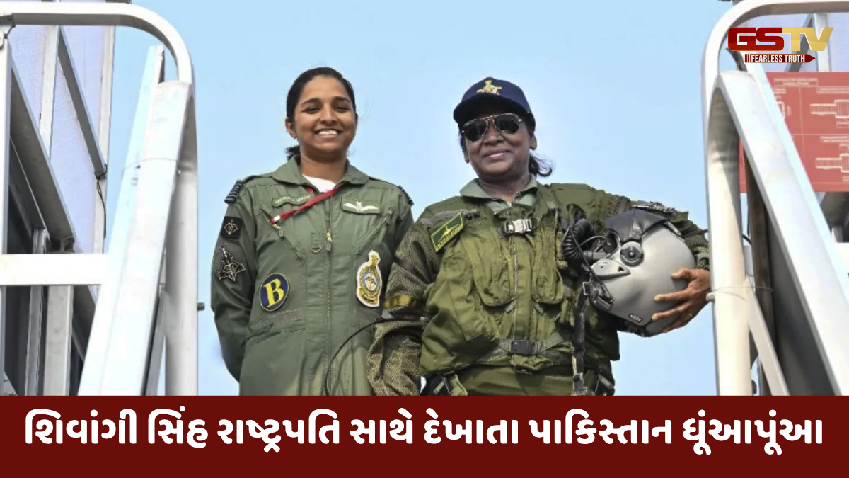 પાકિસ્તાનના જુઠ્ઠાણાંનો પર્દાફાશ, જે રાફેલ પાયલટને પકડવાનો કર્યો હતો દાવો તેણે રાષ્ટ્રપતિ સાથે પડાવ્યો ફોટો