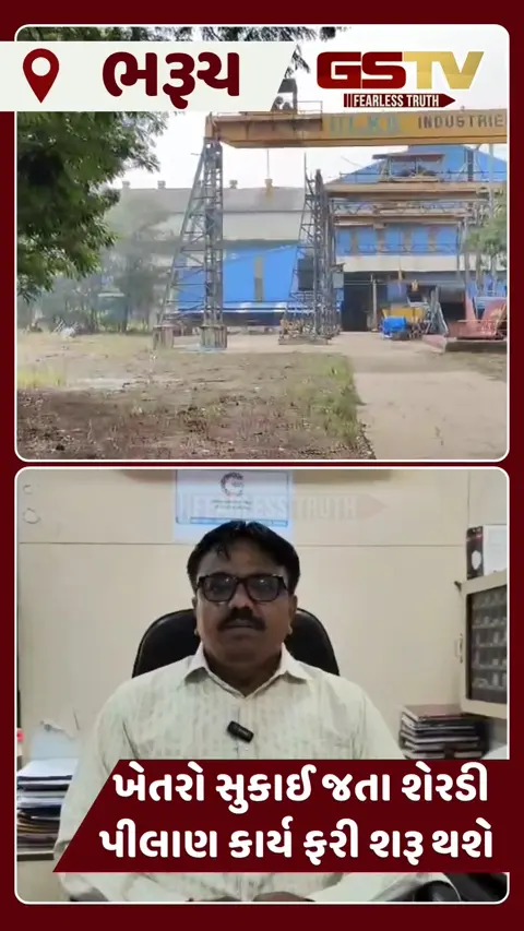 VIDEO: ભરુચ જિલ્લામાં કમોસમી વરસાદના લીધે સુગર ફેક્ટરીઓમાં પીલાણ પ્રભાવિત