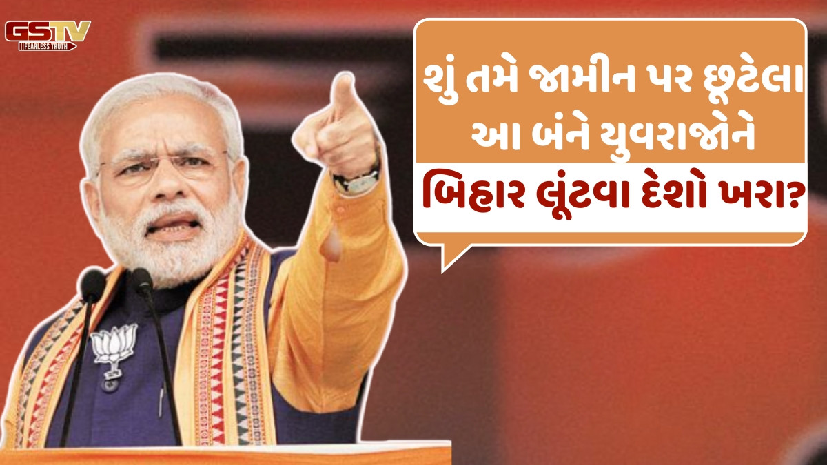 સૌથી ભ્રષ્ટ પરિવારના 2 યુવરાજોએ મને ગાળો આપી, બિહારમાં પીએમ મોદીના પ્રહાર