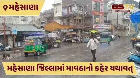 VIDEO: મહેસાણા પંથકમાં 5 દિવસથી વરસાદી માહોલ, ખેતીના પાકને ભારે નુકસાનની ભીતિ