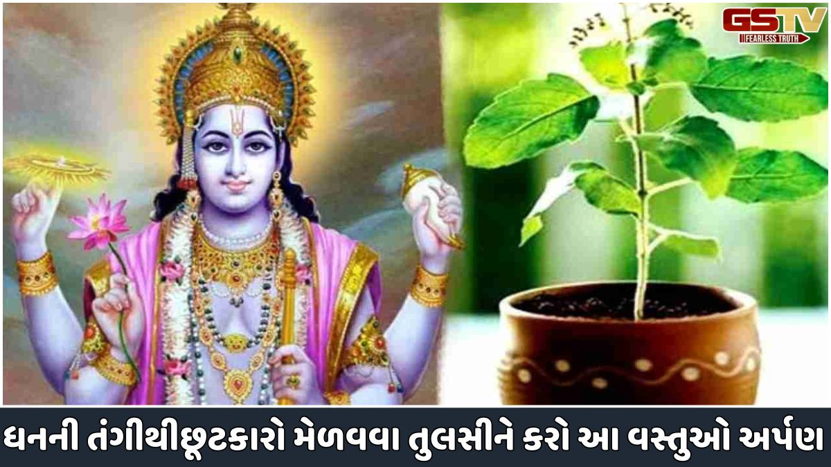 Religion: દેવઉઠી અગિયારસ ધનની તંગીથી છૂટકારો મેળવવા તુલસીને ખાસ અર્પણ કરો આ વસ્તુઓ