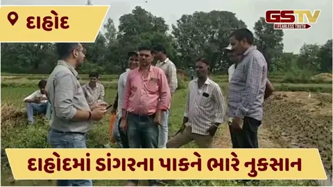 VIDEO: દાહોદના જાલત ગામે કમોસમી વરસાદમાં નુકસાન અંગે તંત્રએ સરવે હાથ ધર્યો