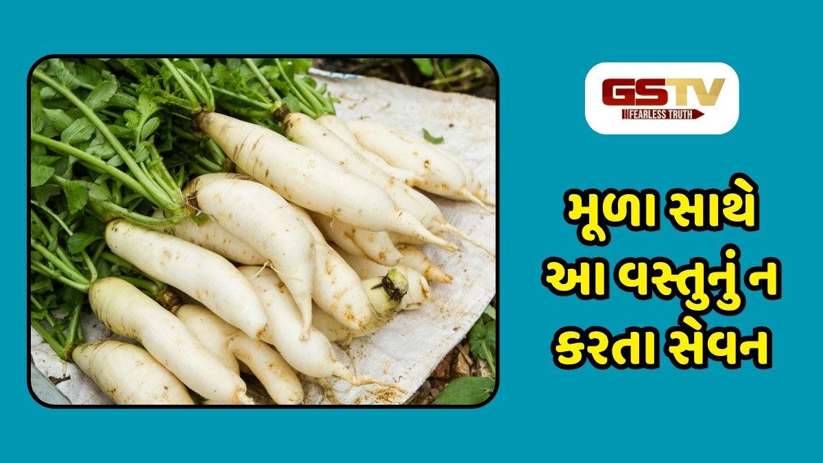 health Tips : મૂળા સાથે ન ખાશો આ 5 વસ્તુઓ, અન્યથા સ્વાસ્થ્ય પર પડશે ગંભીર અસર