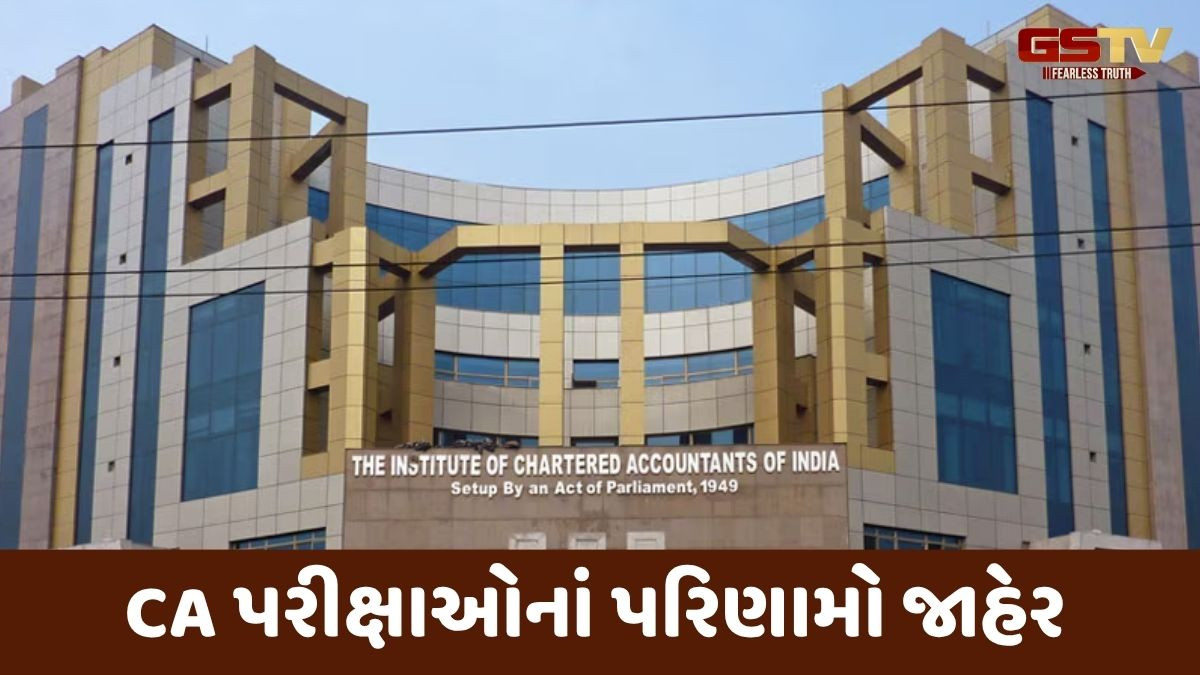 CA ની પરીક્ષાનું પરિણામ જાહેર; રાજકોટનો જિગર રાચ્છ ગુજરાતનો ટોપર, જાણો કેટલા વિદ્યાર્થીઓ થયા પાસ
