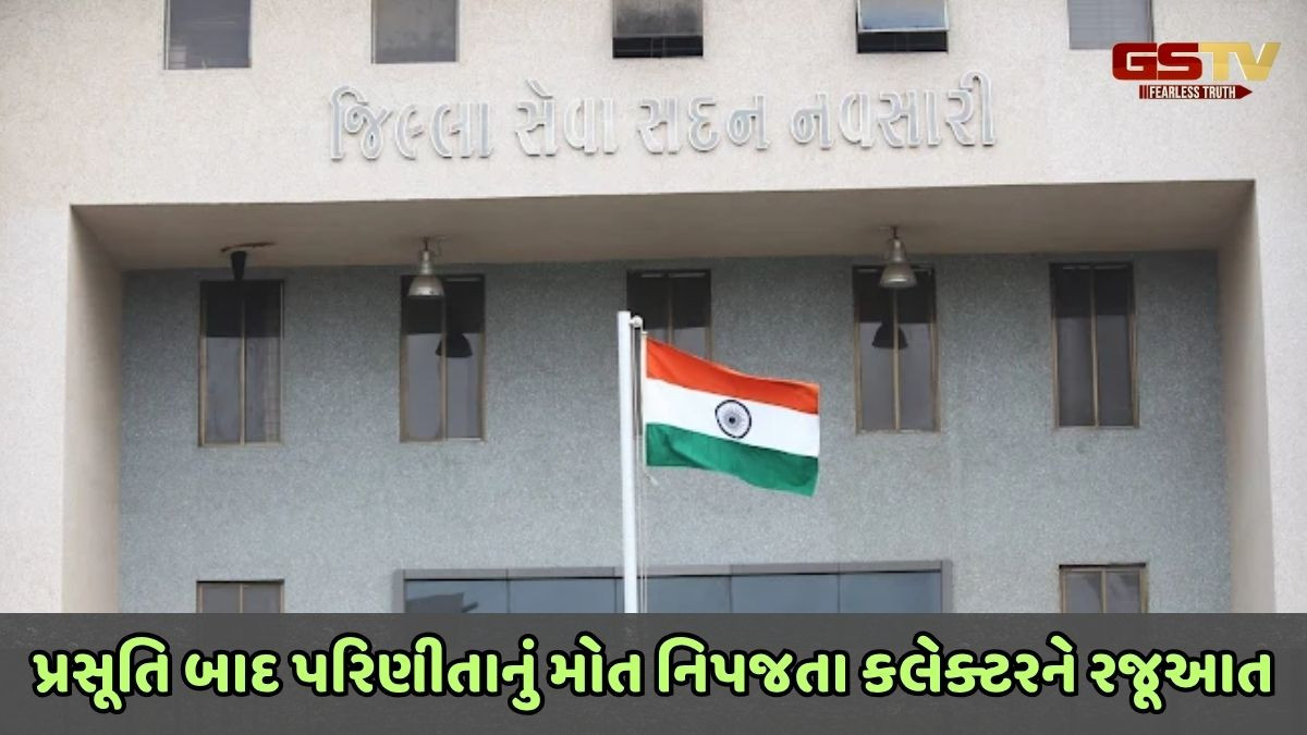 Navsari news: પ્રસુતિ બાદ ડોક્ટરની બેદરકારીથી મહિલાનું મોત નીપજ્યું, ન્યાય અપાવવા પરિજનોનું કલેક્ટરને આવેદન