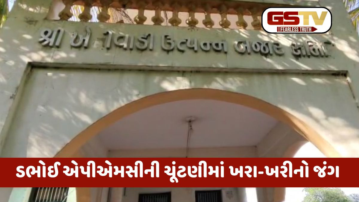 ડભોઈ એપીએમસીની ચૂંટણીમાં ખેડૂત પેનલમાં 10 બઠકો માટે 25 ઉમેદવારી ફોર્મ ભરાયા