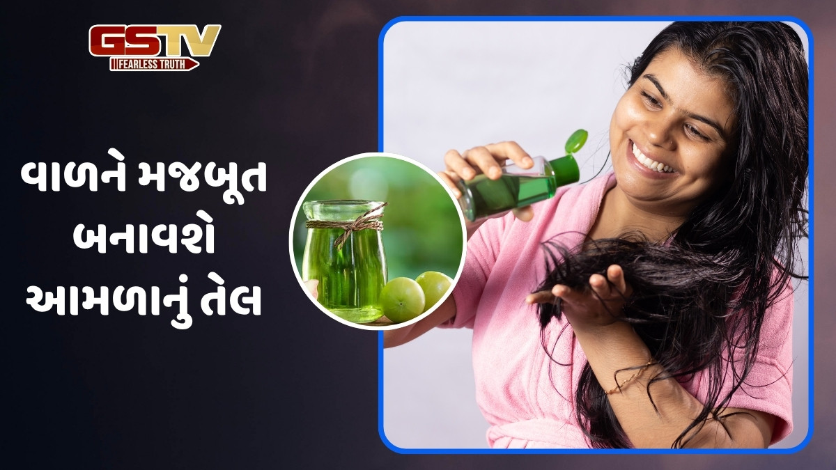 Hair Oil / હેર ફોલ અટકાવવા માટે ઘરે બનાવો આમળાનું તેલ, લાંબા અને જાડા બનશે વાળ