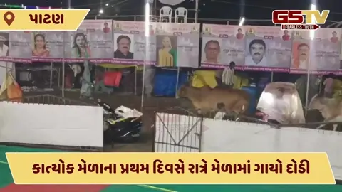 Patan News: કાત્યોક મેળાના પ્રથમ દિવસે રાત્રે મેળામાં ગાયો દોડી, લોકોના જીવ તાળવે ચોંટ્યા