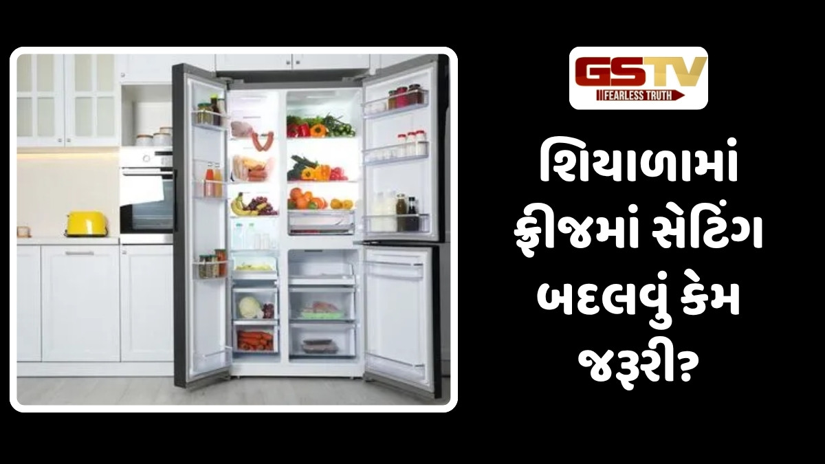 Tech News: શિયાળામાં ફ્રીજને કેટલા નંબર પર રાખવું જોઈએ, નાની ભૂલ કરી શકે છે વધુ ખર્ચ