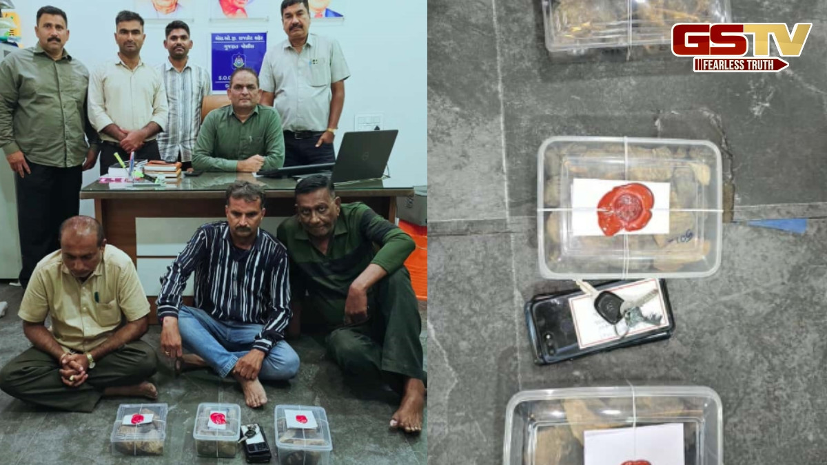 Rajkot news: 3 આરોપીઓ વ્હેલ માછલીની ઉલ્ટી સાથે ઝડપાયા, 2 કરોડથી વધુનો મુદ્દામાલ જપ્ત