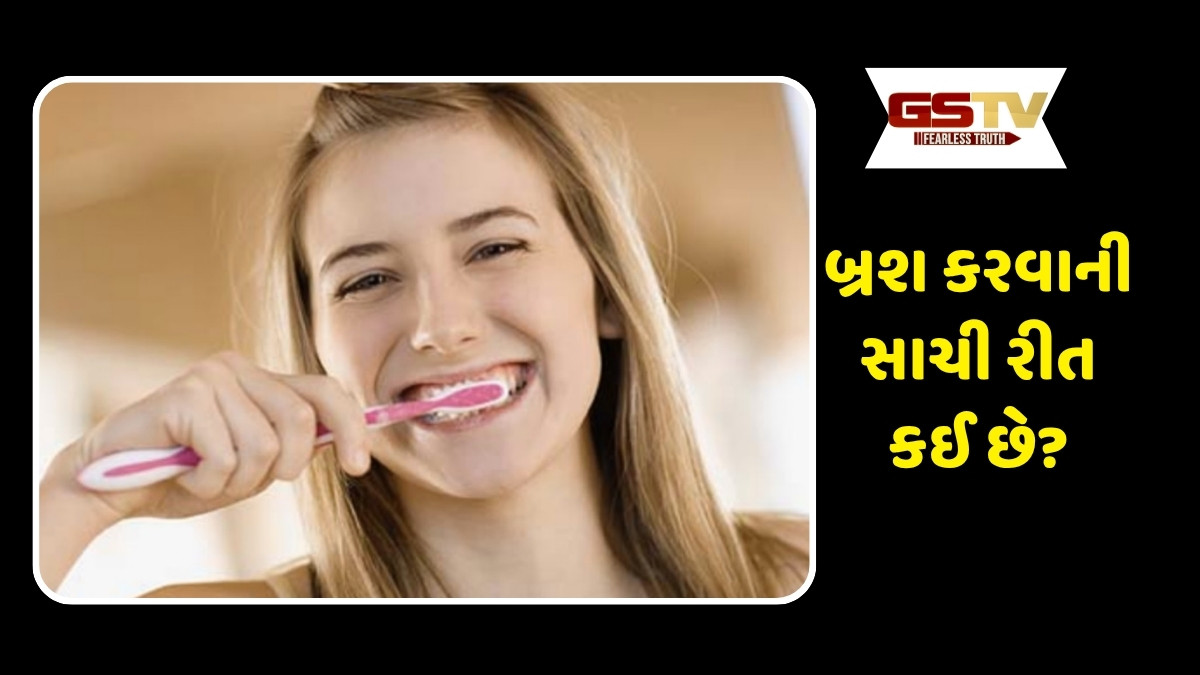 Health Tips: સવારે કે સાંજે બ્રશ કરવા માટે કયો સમય વધુ ફાયદાકારક છે? જાણો અહીં 