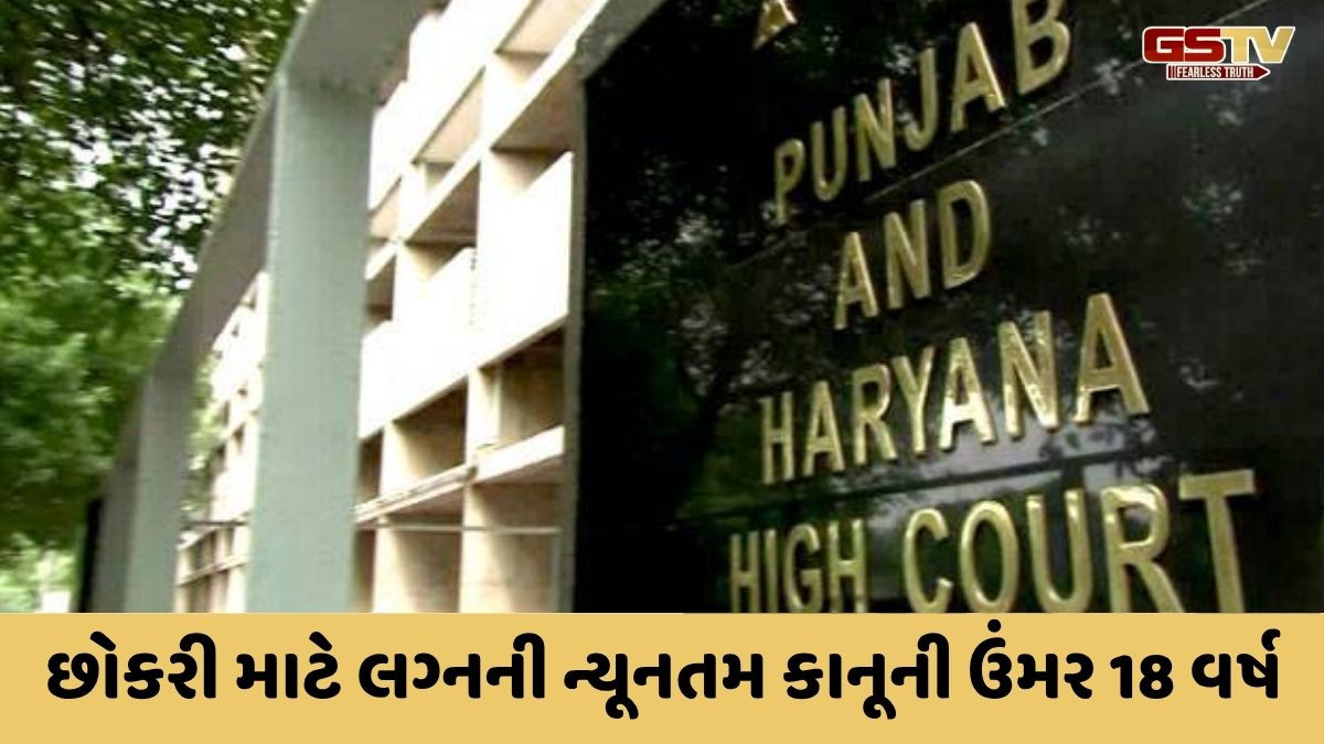 '18 વર્ષથી નાની છોકરી સાથે લગ્ન પછી સંબંધ બાંધવો એ દુષ્કર્મ' મુસ્લિમ પર્સનલ લૉને હાઈકોર્ટે ફગાવ્યો!