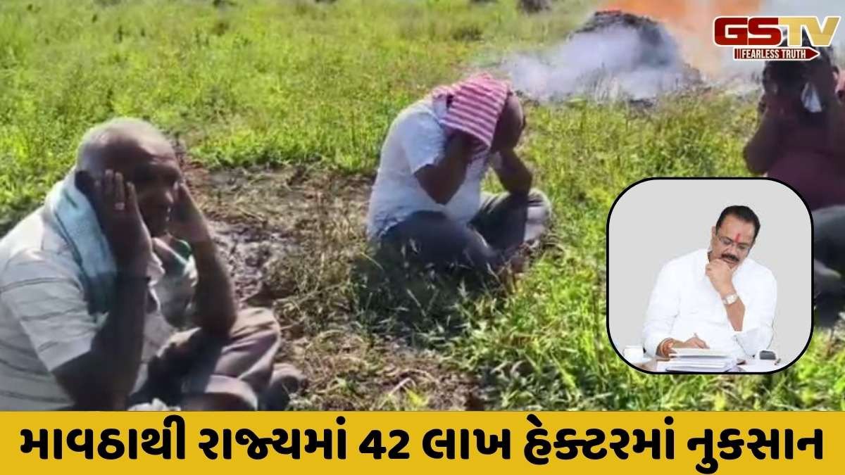 માવઠાથી નુકસાન પામેલા ખેડૂતોને કેટલું વળતર અપાશે? જાણો કૃષિ મંત્રીએ આપેલી વિગતો 