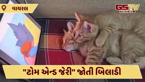 VIDEO : 