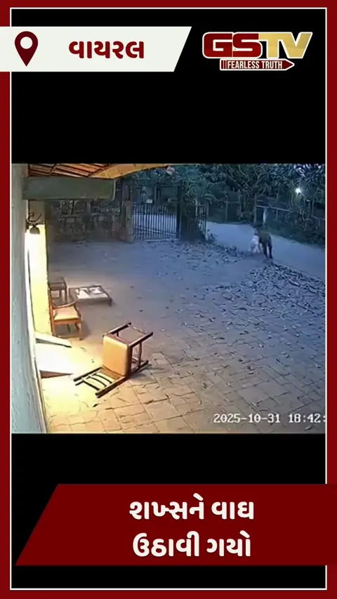 VIDEO : ઘરની બહાર બેઠેલા શખ્સને વાઘ ઉઠાવી ગયો, દૃશ્યો છે હચમચાવનારા