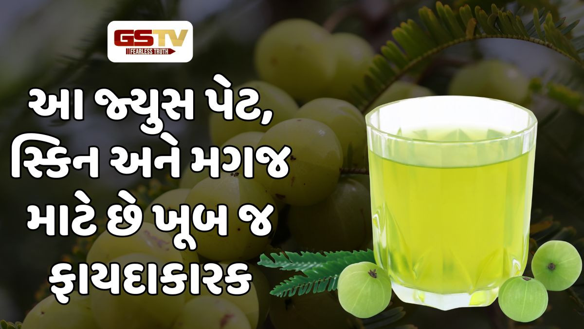 Recipes: શિયાળામાં શરીર સ્વસ્થ રાખવા બનાવો આમળાનું આયુર્વેદિક જ્યુસ