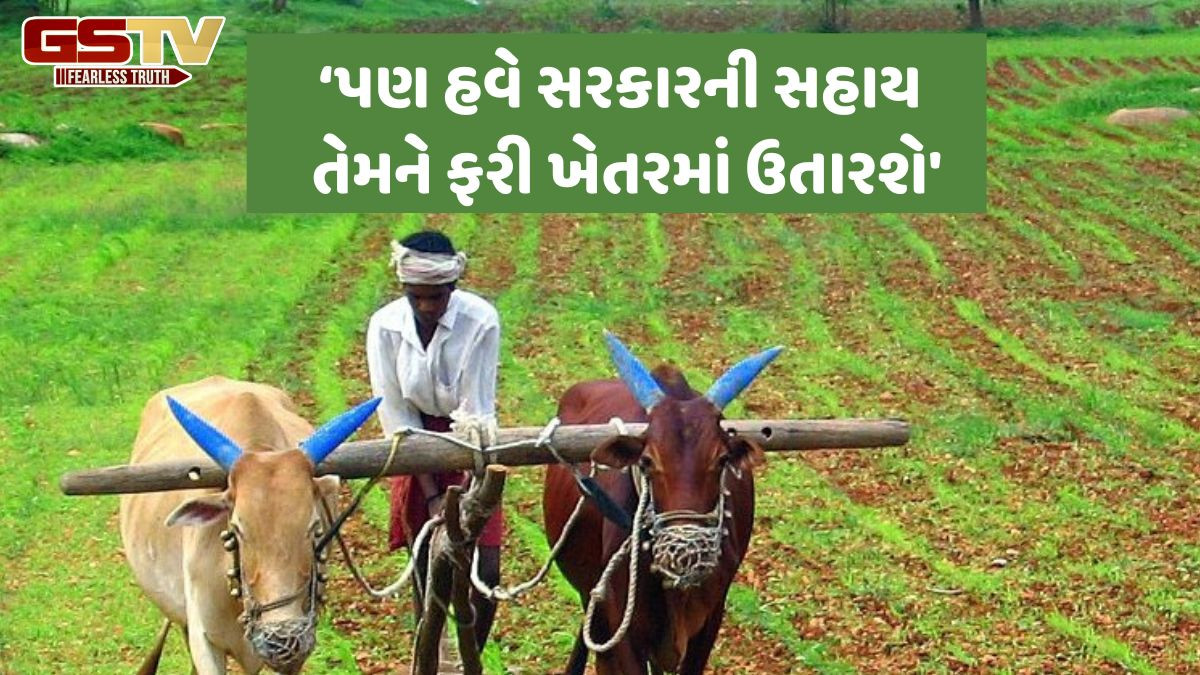 Dwarka News: સહાય પેકેજ પર અમુક ખેડૂતોમાં ખુશી, તો અમુક માને છે કે સહાયની રકમ પૂરતી નથી