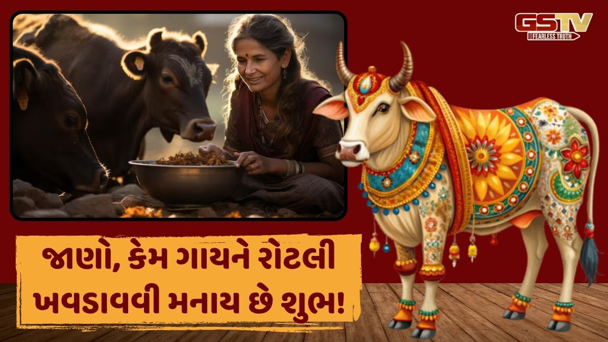 Religion: શું તમે પણ રોજ ગાયને રોટલી ખવડાવો છો? તો જાણો શું છે તેના ફાયદા, અને આ બાબતોનું રાખો ખાસ ધ્યાન