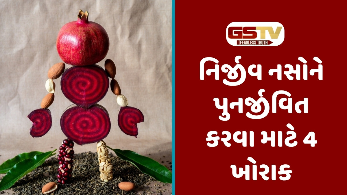 Health Tips: શિયાળામાં આ 4 વસ્તુનું જરૂર કરો સેવન, નબળી નસોમાં દોડવા લાગશે લોહી 