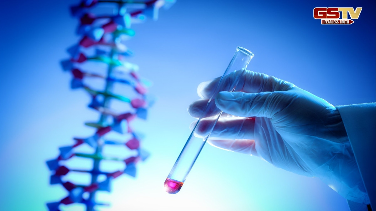 રાજ્યના 11 જિલ્લાના 31 આદિવાસી સમુદાયના DNA સેમ્પલ લેવાશે, જીનોમ સિક્વન્સિંગ પ્રોજેક્ટ અંતર્ગત આનુવંશિક રોગ પર લેવાશે કાબુ