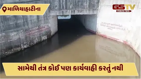 VIDEO: માળિયા હાટીના રેલવે સ્ટેશન પાસે અંડરબ્રિજમાં પાણી ભરાતા વાહનચાલકોને હાલાકી