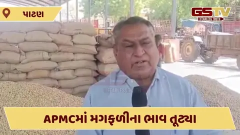 Video: Patan માં ખેડૂતોની નિરસતાથી MSP સેન્ટર બંધ કરવાની ફરજ પડી! બજારમાં ભાવ તૂટ્યા
