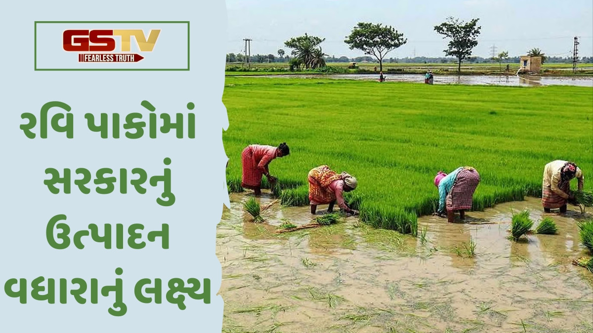 Business Plus: આ બે પાકના ઉત્પાદન વધારા તરફ સરકારનું લક્ષ્ય, રવિ પાકોનું ઓક્ટોબર સુધીમાં 25 લાખ હેક્ટર વાવેતર
