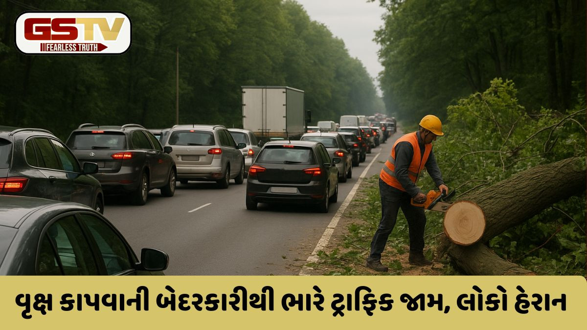 Chhota Udaipur: વિકાસના નામે હાલાકી, આડેધડ વૃક્ષો કપાતા કલાકો સુધી ટ્રાફિક જામ