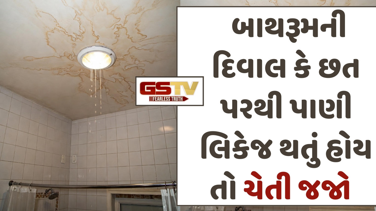 Sahiyar: આ રીતે સફાઈ કરી બાથરૂમને રાખો જર્મ્સ ફ્રી, આ સ્થાને હોય છે સૌથી વધુ બેક્ટેરિયા