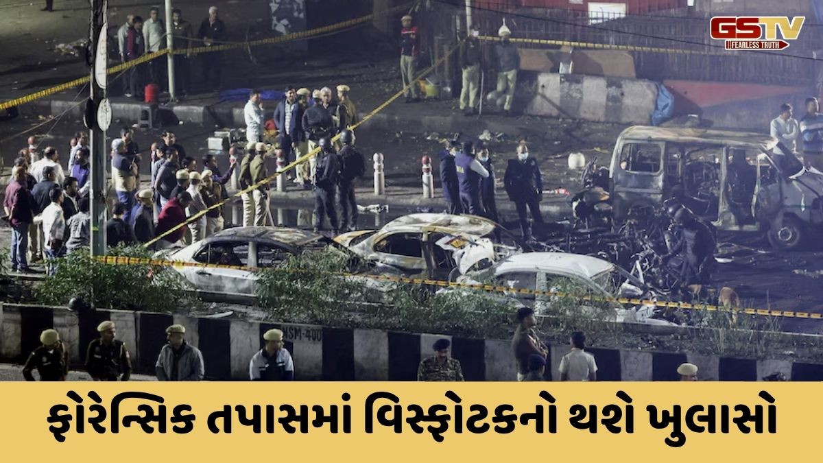 'કાનના પડદા, ફેફસાં અને આંતરડા ફાટ્યા', દિલ્હી બ્લાસ્ટમાં જીવ ગુમાવનારાનો પોસ્ટમોર્ટમ રિપોર્ટ હચમચાવી દેશે