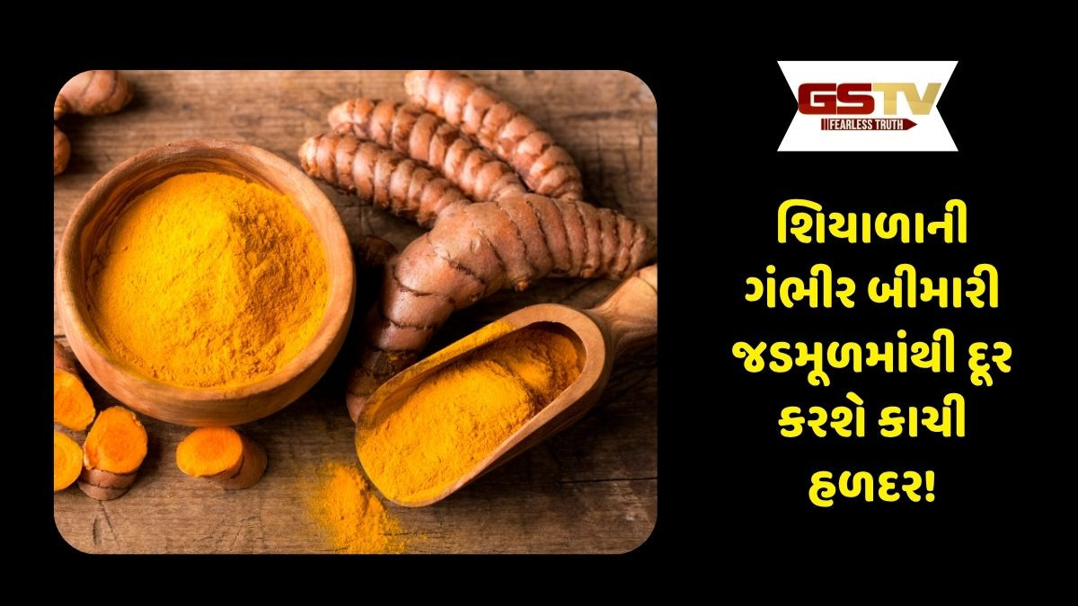 Health News : શરીરની ગંદકી દૂર કરશે કાચી હળદર, શિયાળાની ગંભીર બીમારીઓથી આપશે છુટકારો!