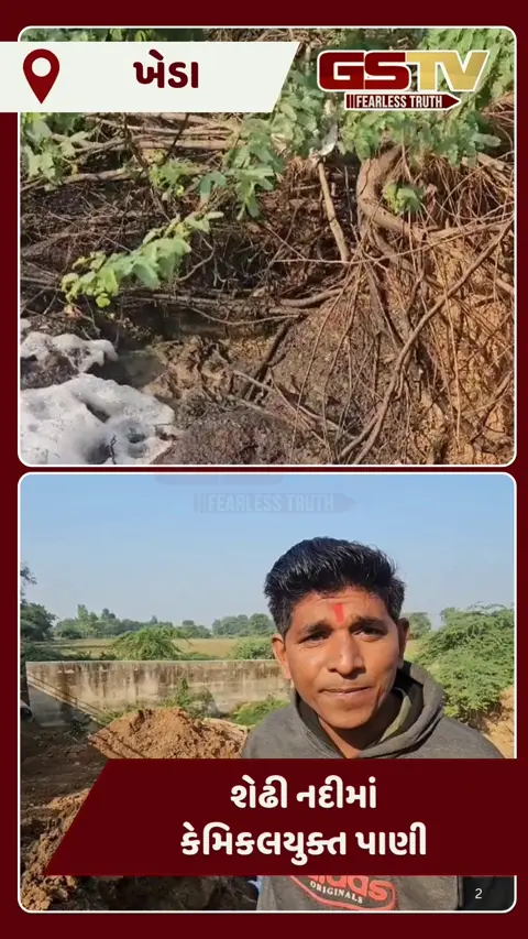 Video: ડાકોર નજીક શેઢી નદીમાં કેમિકલયુક્ત પાણી ઠલકાયું, ફીણના ગોટેગોટા વળતાં ખેતી-પશુધન અને આરોગ્ય પર ગંભીર ખતરો