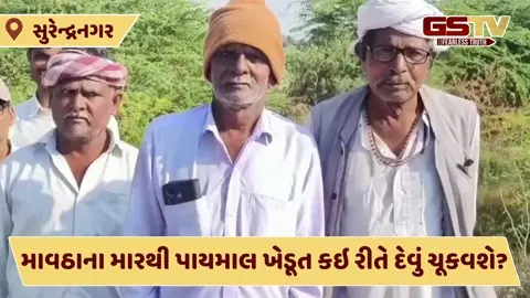 Video: 'પહેલા બાકી દેવા ભરો પછી સહાય મળશે', સુરેન્દ્રનગરમાં પાયમાલ થયેલા ખેડૂતો માટે નવા ફરમાનથી આક્રોશ