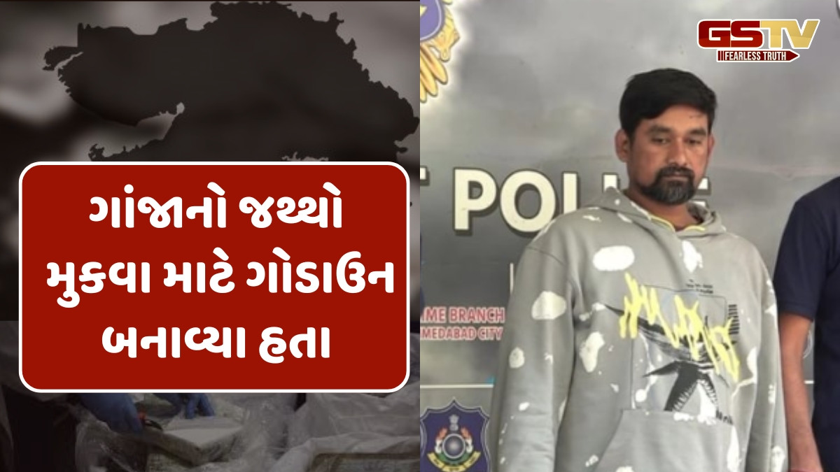 Ahmedabad news: ક્રાઈમ બ્રાન્ચે ગુજરાતના મુખ્ય ગાંજા સપ્લાયરને ઝડપી પાડ્યો, 50 લોકોની ગેંગ ટ્રેન-ટ્રક દ્વારા ચલાવતા હતા નેટવર્ક