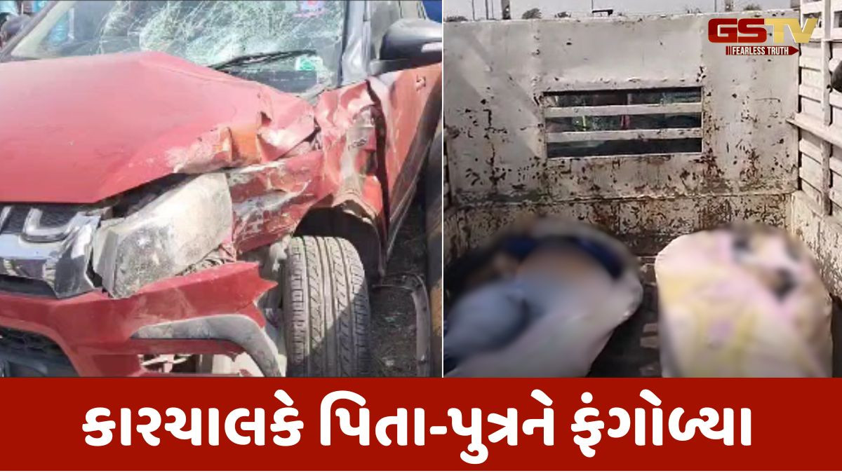 Navsari news: મોબાઈલ પર વ્યસ્ત કારચાલકે પિતા-પુત્રને અડફેટે લીધા, બંનેના ઘટનાસ્થળે જ મોત