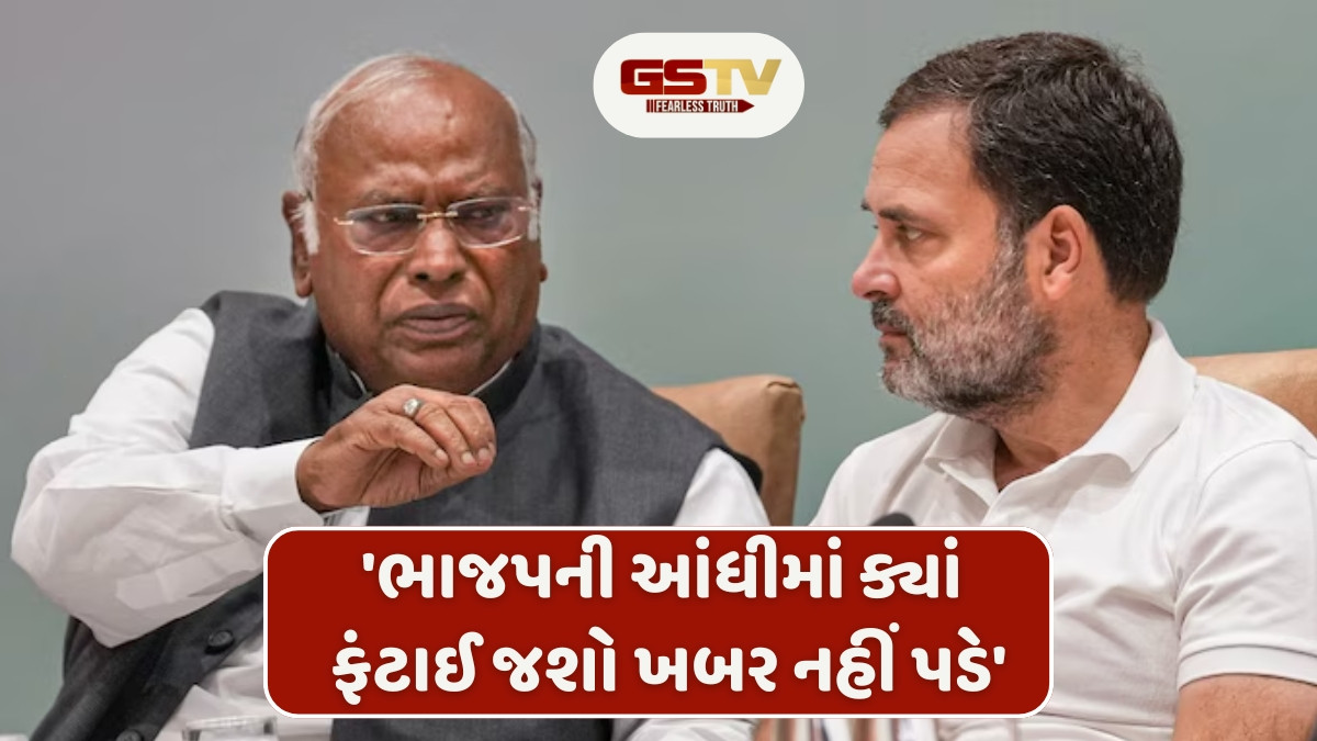 "તમારી નાવમાં કાણું છે, અમારી નાવમાં બેસશો તો જ પાર ઉતરશો", શા માટે સાથી પક્ષે કોંગ્રેસને ચેતવી