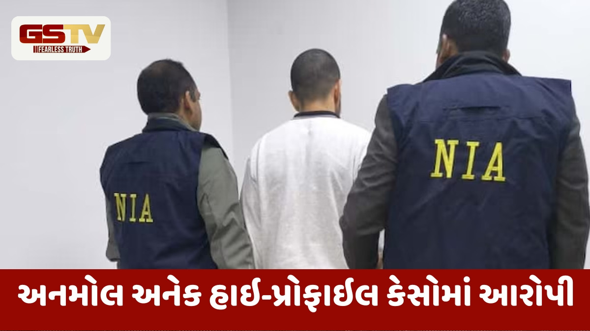 કુખ્યાત ગેંગસ્ટર લોરેન્સ બિશ્નોઈના ભાઈ અનમોલને ભારત લવાયો, કોર્ટે 11 દિવસની NIA કસ્ટડીમાં મોકલ્યો